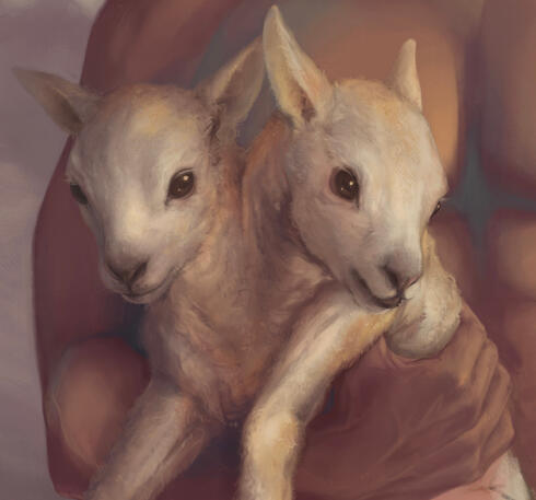 Lambs 2022